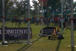 2011_legnica_wayc_0034