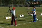 Európa Bajnokság / Kupa, Dánia - European Championship / Cup, Denmark