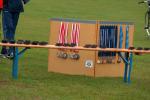 Európa Bajnokság / Kupa, Dánia - European Championship / Cup, Denmark