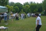 ópusztaszer nyílzápor - 2008