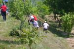 szerb terep ob - 2011 - 019