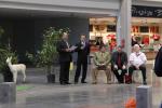 ifaa eb - 2011 - 065