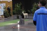 ifaa eb - 2011 - 071