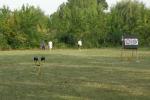 48 órás utc íjászverseny - 2008