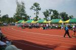 ifi wb legnica - 2011 - s001