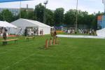 nagy-sportágválasztó - szeged - 2011 - 007