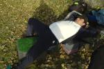 utc-nap - 2008