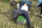 utc-nap - 2008